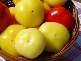 Édes alma paprika - Édespaprika ritkaságok az Egzotikus Növények Stúdiója kínálatában